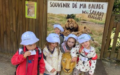 Une Arche de Noé colorée prend vie à l’école maternelle Saint-Gabriel