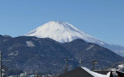 Un voyage au Japon : entre traditions millénaires et modernité fascinante